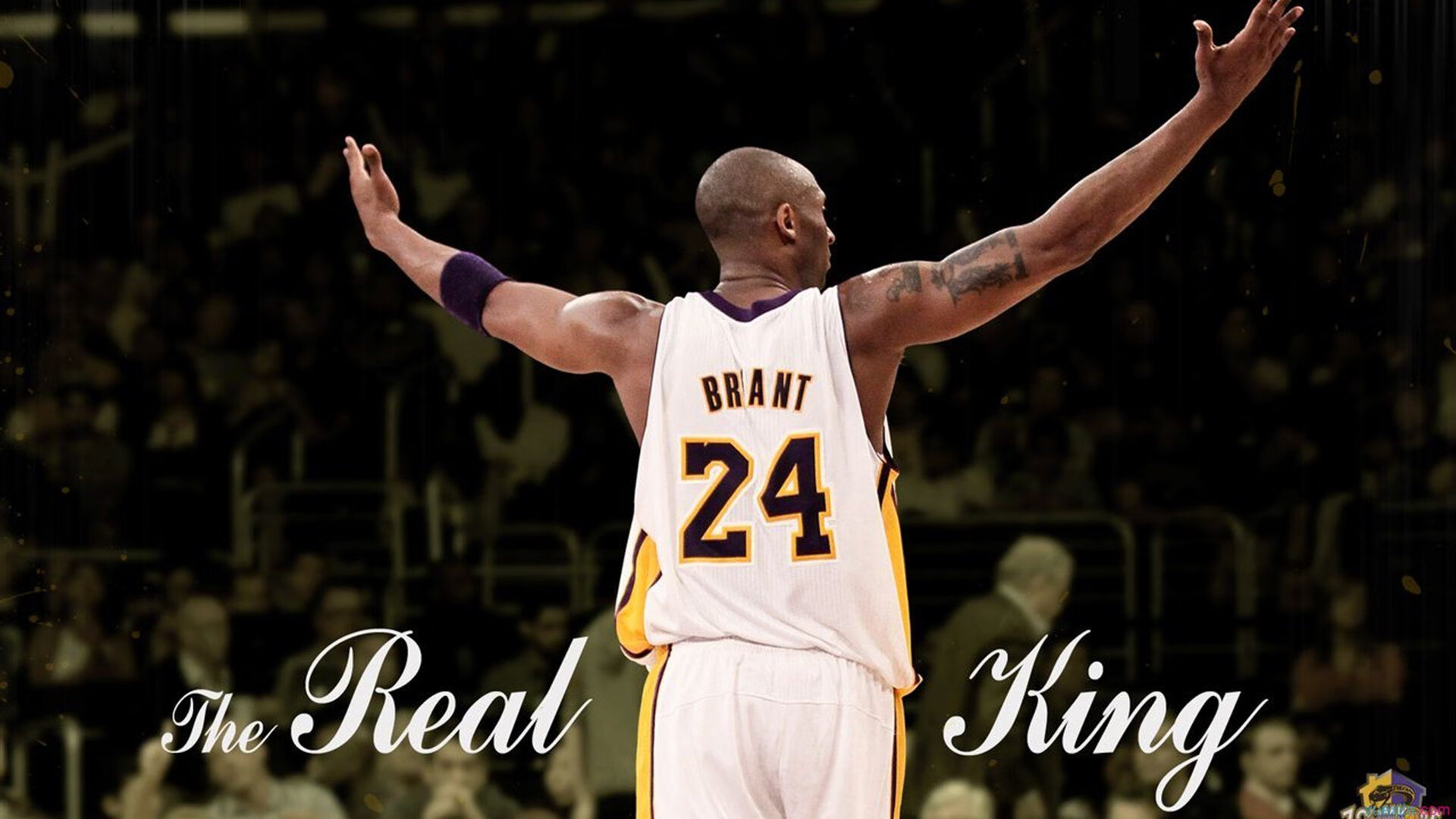 “逆转之战：经典逆袭瞬间震撼全场”，电影逆转