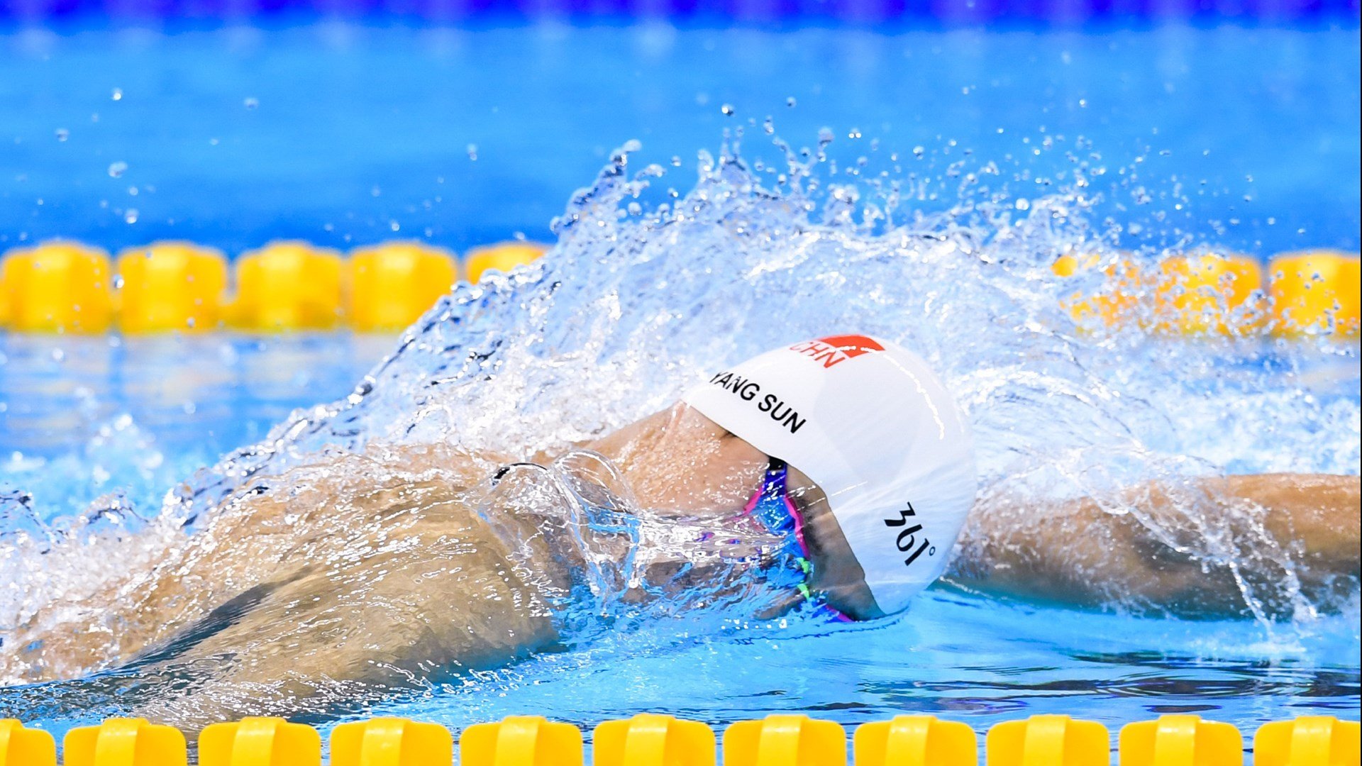 巴西马术协会建立马匹基因数据库，促进马匹选育与训练。，巴西骑马